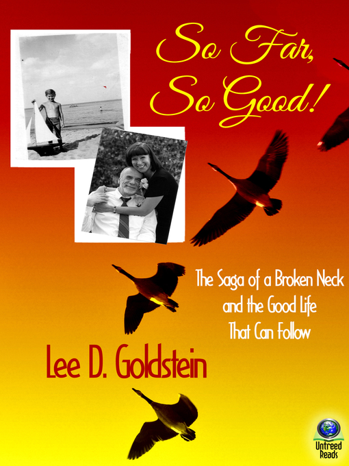 Title details for So Far, So Good! by Lee D. Goldstein - Available